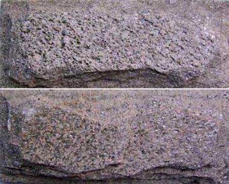 点击查看详细信息<br>标题：蘑菇石 阅读次数：1791