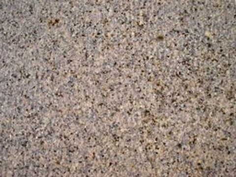 点击查看详细信息<br>标题：荔枝面 阅读次数：1816