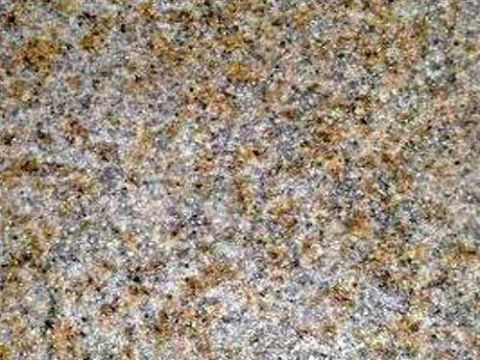 点击查看详细信息<br>标题：荔枝面 阅读次数：1550