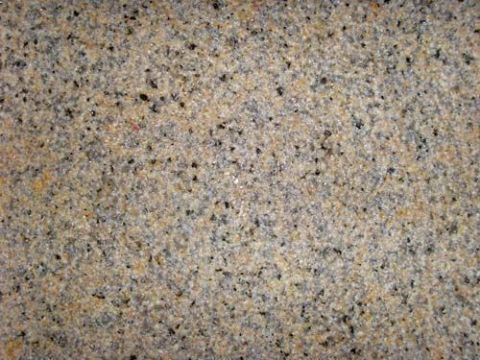 点击查看详细信息<br>标题：荔枝面 阅读次数：1561