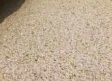 点击查看详细信息<br>标题：黄锈石　 阅读次数：1178